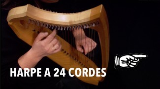 Harpe à 24 cordes
