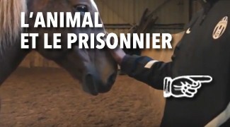 L'Animal et le Prisonnier
