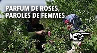 Parfum de roses paroles de femmes
