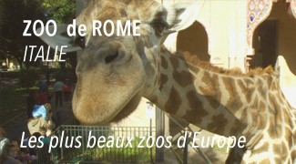 Le Zoo de Rome