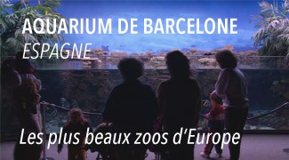 L'Aquarium de Barcelone
