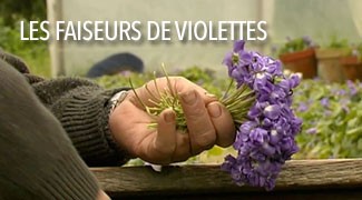 Les faiseurs de violettes