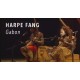 Concert Harpe Fang