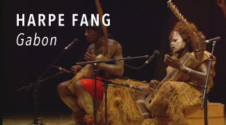 Concert Harpe Fang